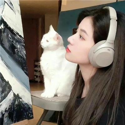 麦克·华莱士来了